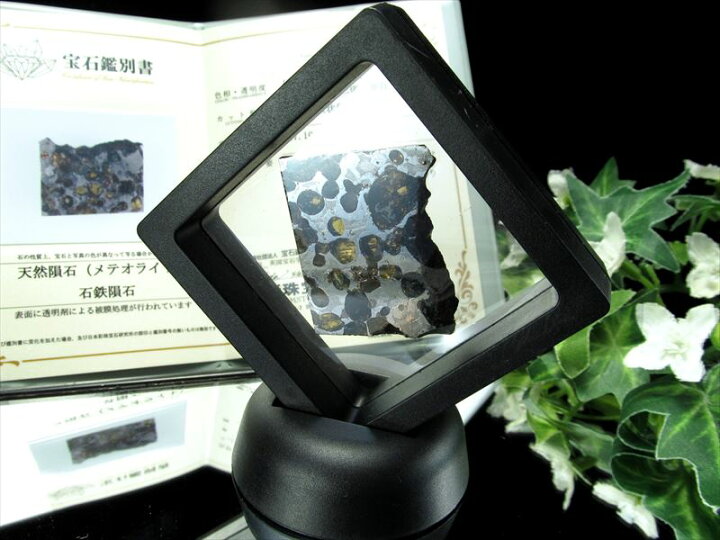 楽天市場】○1点限定入荷【セリコ隕石 パラサイト隕石 スライス 