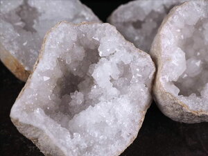 ���y�����b�R�Y�W�I�[�h ���� ���� ���΁z��500g-1kg �󏭍z�������^�C�v��! ���S�򉻂� �ɏ�L���L�������y�����b�R�Y�z�ycl-p�z �p���[�X�g�[�� �V�R��