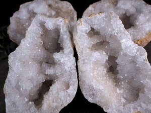 ���y�����b�R�Y�W�I�[�h ���� ���� ���΁z��1kg-2kg �󏭍z�������^�C�v��! ���S�򉻂� �ɏ�L���L�������y�����b�R�Y�z�ycl-p�z �p���[�X�g�[�� �V�R��