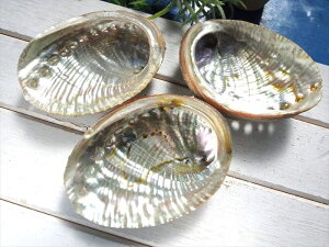 yAoVFLzyi`^CvzFɋPIC{[Ao[jL 8-9cm 1 zCgZ[WȂǂ̌OfBXvCɁyj[W[hYz