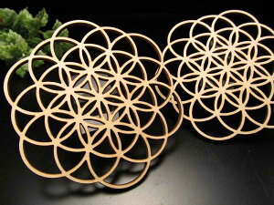 y3023:59܂P2{z1yfUCEbhR[X^[za10.5cm uCeAɂyK^Cvz