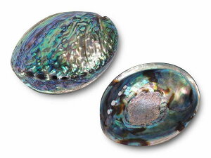 yAoVF ArLkzyʃ|bV^Cvz12cm-15cm 1 zCgZ[WȂǂ̌OfBXvCɁyj[W[hYz