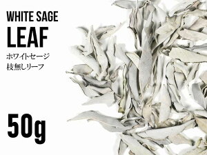 yubNtCf[Ԓ|Cg5{z傤ǂ50gyzCgZ[W[tz50gpbN }[t̂ X}bWOEOphCn[uyJtHjAYzykou-pz p