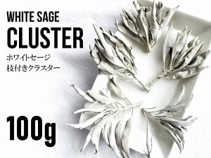 Ղ肨ppbN 100gyzCgZ[W }tNX^[zX}bWOEOphCn[uyJtHjAYz