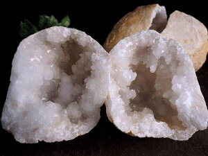 y123:59܂Ń|Cg5{z肨荠TCY 200-300g bRYWI[hyz S򉻂ɁybRYz p[Xg[ VR