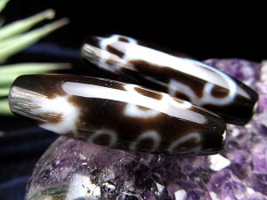 yubNtCf[Ԓ|Cg5{zAV y@ԎOV(イ񂩂񂪂Ă񂶂) z37~-39~ 1yte-sz p[Xg[ VR