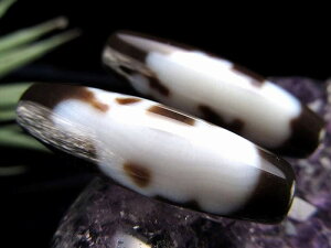 y523:59܂Ń|Cg2{zAV iω单VV(т킩̂񂾂ĂĂ񂶂) TCYF37~ 1 ɏ VR r[Y p[Xg[yte-pz p[Xg[ VR