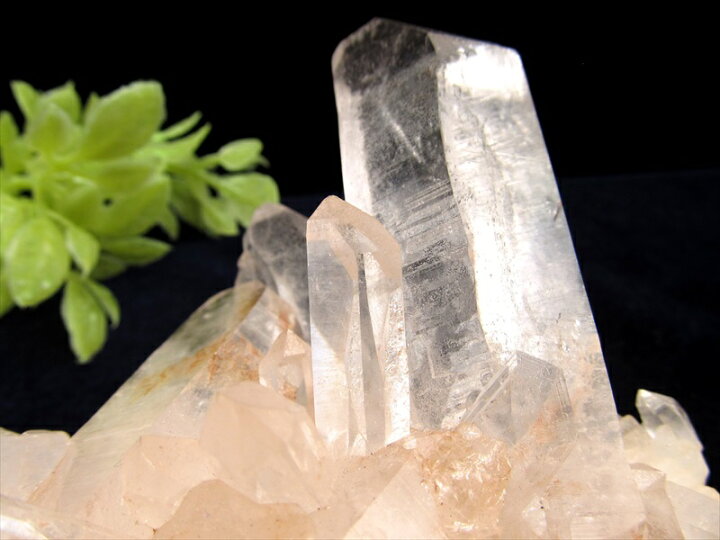 楽天市場】希少 ピンクタイプ『地球最後の秘境』ヒマラヤより直送 