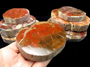 レッドタイプ【珪化木(ペトリファイドウッド) プレート 置物】重さ140g-170g 神秘なる大自然の力 ウッドストーン 博愛・真心・希望【木の化石】