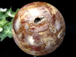 AIy] ۋ(t)za69mm d448g ؂̉ ygt@ChEbh E^SE] _́y}_KXJYz p[Xg[ VR