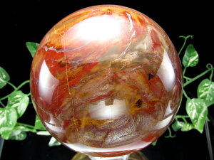 XW͂̑ʁy](ygt@ChEbh)ۋ tzd4040g a144mm ؂̉ RSĂ̕Ɂy}_KXJYz p[Xg[ VR