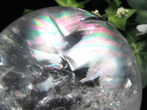 ŗǂ̓I 5AyVR  ۋ tzd460.5g 69mm C{[ u  ׂĂ̏򉻂Ə̏ے ɏVR _́yuWYz