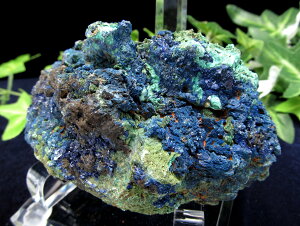 [Zu[̃AYCgyAYCg}JCg (AY}JCg) pANtző啝96mm d380g LL򌋏 Sg̖E͂ȃq[Oʂ 