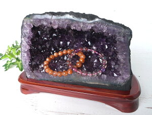 y523:59܂P2{zyXWzgbvO[hIyAWXgh[ ptz16cm d3.25kg ŋ ōi AWXg ɏ1_́yuWYz