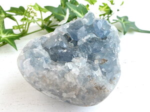 n[g^ Vg̐΁yZX^Cg ΁ző啝82mm d554g AAx̏ے ɏVR V ̂F _́y}_KXJYz p[Xg[ VR