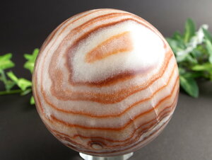 ܂œؓÎy|[NXg[ (ؓ) ۋʒu tzd492g a70mm ʌ l^ځI}jAbNVR _́y LȎYzyss-30z p[Xg[ V