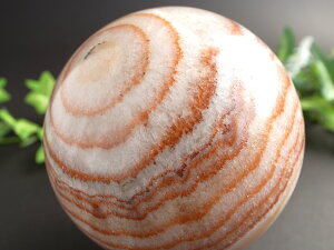 ܂œؓÎy|[NXg[ (ؓ) ۋʒu tzd486g a70mm ʌ l^ځI}jAbNVR _́y LȎYz p[Xg[ VR