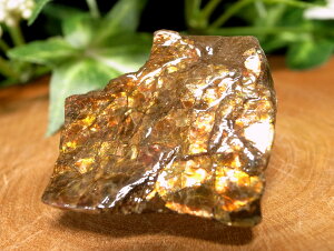 FǍDyACg hSXLy̗؁z΁ző啝29mm d9.2g 1_ N̕ K^Ăэސ t[gRNVP[Xt ɏ_yJi_Yz p