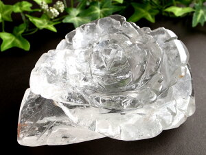 VRgp Ə򉻂ے閜\p[Xg[yVRK N uz39mm 109mm QI ꓁Β ɏ_yuWYz