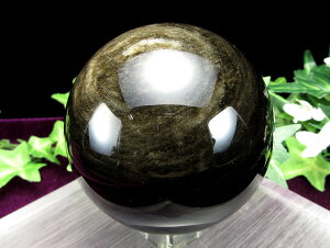 V[I  4AyS[fVC IuVfBA ۋ tzd523.5g a74.5mm lCۋ S[fV[ j _́yLVRYz