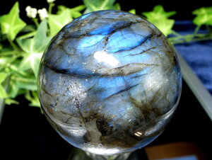 3A+ 背C{[V[yuhCg ۋ tza63.5mm d362g Ƒzے _́y}_KXJYz