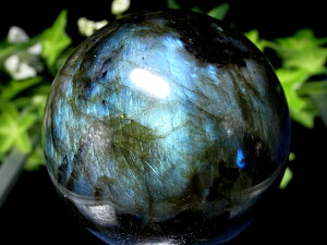 3A+ 背C{[V[yuhCg ۋʁza59mm d299g Ƒzے _́y}_KXJYz