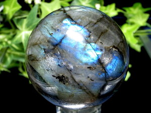 3A+ 背C{[V[yuhCg ۋʁza55.5mm d243g Ƒzے _́y}_KXJYz