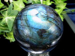 3A+ 背C{[V[yuhCg ۋʁza58mm d270g Ƒzے _́y}_KXJYz