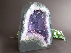 y523:59܂P2{z1ԐlC̃e[uTCYI 4AyAWXg h[(AWXgJy[)z 21.5cm d 4.5kg ŋ AWXg ɏ1_́yuWIOfEhEXB