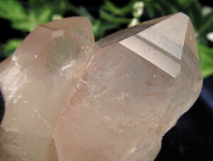 MeB[J[htysN AV[hNX^ző啝 69mm d 111g ʌ Ñ̉bq𕕂߂ ʖVMONX^ 1_yuW fBA}e