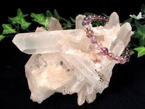 MeB[J[htysN AV[hNX^z719g ʌ Ñ̉bq𕕂߂ ʖVMONX^ 1_yuW fBA}eB[iYz p