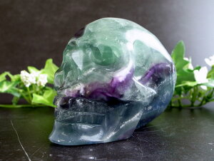 N[ȃXJwbh!!yt[Cg hNuző啝80mm d418g ̍Đے郂`[t GI꓁Β _