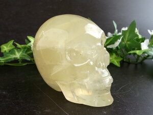 N[ȃXJwbh!!yVg hNuző啝83mm d448g ̍Đے郂`[t GI꓁Β _