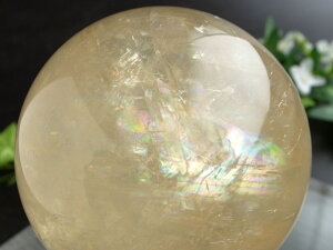 5A yLL S[f JTCg ۋ tza81mm d797g ɉhƐ̏ے ۋʒu _́yLVRYz