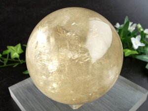 5A yLL S[f JTCg ۋ tza86mm d933g ɉhƐ̏ے ۋʒu _́yLVRYz