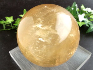 ʊiI 4A IyfB[vS[f JTCg ۋ tza91mm d1104g ɉhƐ̏ے ۋʒu _́yLVRYz