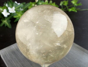 ʊiI 4AyS[f JTCg ۋ tza71mm d537g ɉhƐ̏ے ۋʒu _́yLVRYz