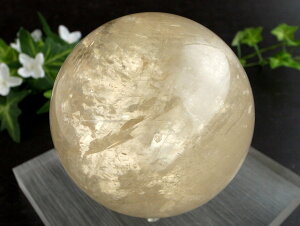 ʊiI  4AyS[f JTCg ۋ tza81mm d796g ɉhƐ̏ے ۋʒu _́yLVRYz