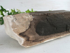 A؂̉΁Iy] ΁zd2166g VJ؂̉ _Ȃ厩R̗ EbhXg[ E^SE] ؂̉΁y򕌌ZΎsIIYz p[Xg[ VR