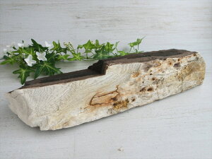 A؂̉΁Iy] ΁zd2908g VJ؂̉ _Ȃ厩R̗ EbhXg[ E^SE] ؂̉΁y򕌌ZΎsIIYz p[Xg[ VR