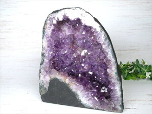  ǂ^yAWXg h[(AWXgJy[)z 195mm d 4156g ŋ Ɖ^Љ^̏㏸ɁIփCeAƂĐlC 1_́yuW@IOfEhEX