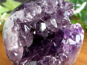 AȏΌ̃AWXgyAWXg Ό  ۋʁza 47mm d 110g  ̎ ƈ炬̐ _́yuWYz