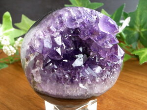 AȏΌ̃AWXgyAWXg Ό  ۋ tza 50mm d 138g  ̎ ƈ炬̐ _́yuWYz