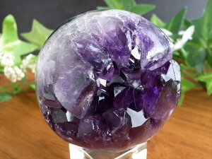 AȏΌ̃AWXgyAWXg Ό  ۋ tza 51mm d 157g  ̎ ƈ炬̐ _́yuWYz