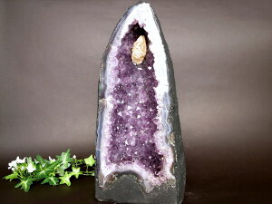 JTCgIyAWXg h[(AWXgJy[)z 245mm d 8036g ŋ Ɖ^Љ^̏㏸ɁIփCeAƂĐlC 1_́yuW@IOfEhEXB