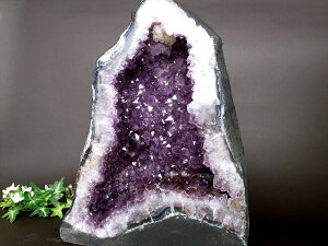 Q[TCgLEsNJTCgI ǂ^yAWXg h[(AWXgJy[)z 365mm d 18104g ŋ Ɖ^Љ^̏㏸ɁIփCeAƂĐlC 1_́y