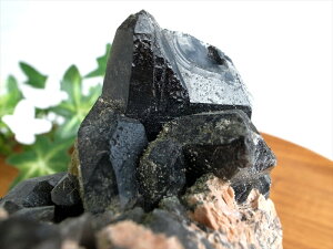 VR̍yVR  (I) NX^[΁zd430g ő啝93mm 厩R̗͋鎽̐ ǂƂߌ ŋ̖E׋C̐ 1_yRȎY