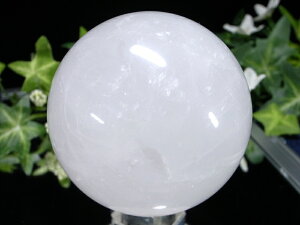 y523:59܂Ń|Cg2{z_̓fyXm[zCg  ۋ tza67.5mm d424g ɏVR _́yuWYz p[Xg[ VR