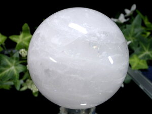 y523:59܂Ń|Cg2{z_̓fyXm[zCg  ۋ tza69.5mm d465g ɏVR _́yuWYz p[Xg[ VR