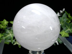 _̓fyXm[zCg  ۋ tza81mm d737g ɏVR _́yuWYz p[Xg[ VR